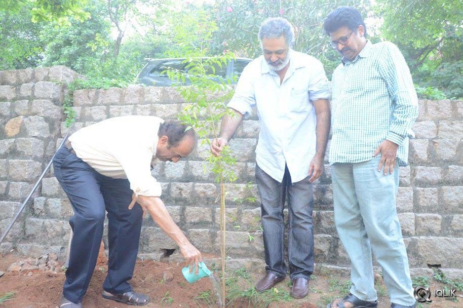 -Venkatesh-At-Haritha-Haaram-Event